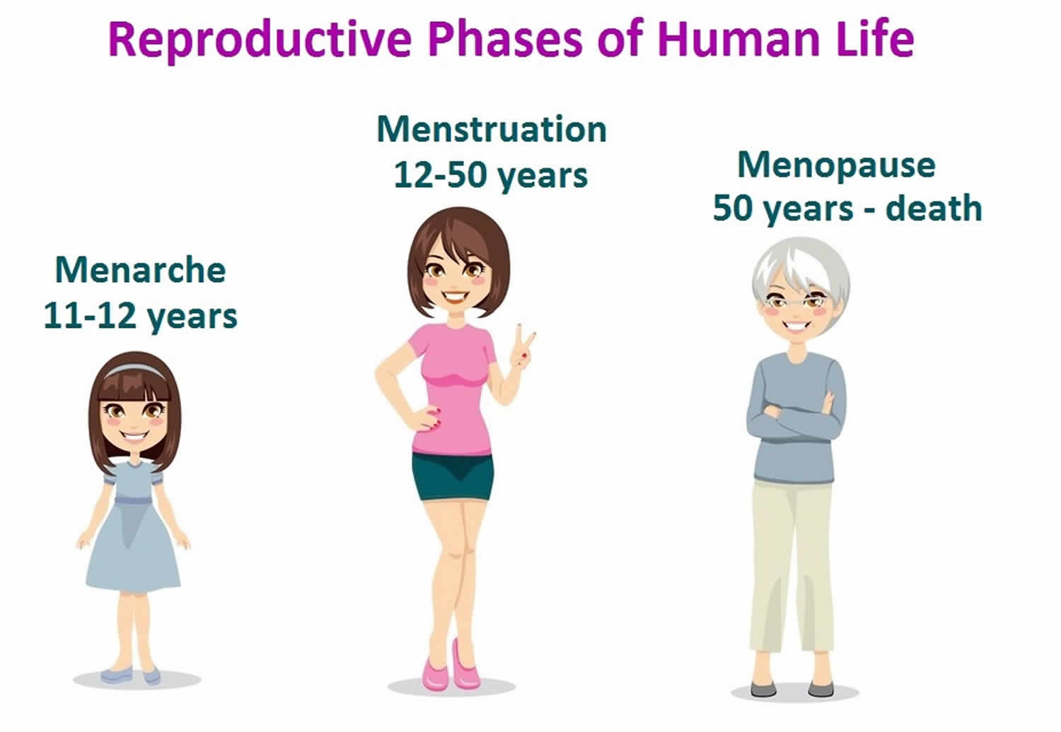 Virginity and menopause