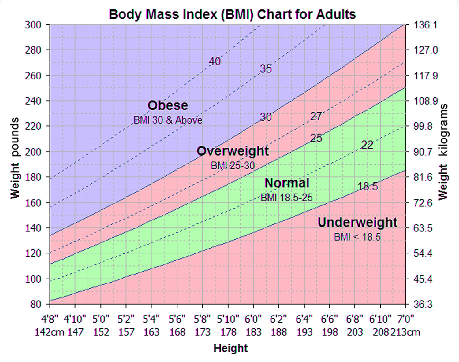 Body Mass Index Chart for Adults