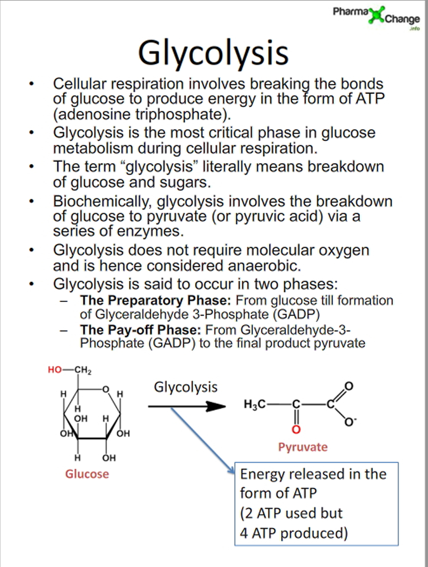 glucose metabolism