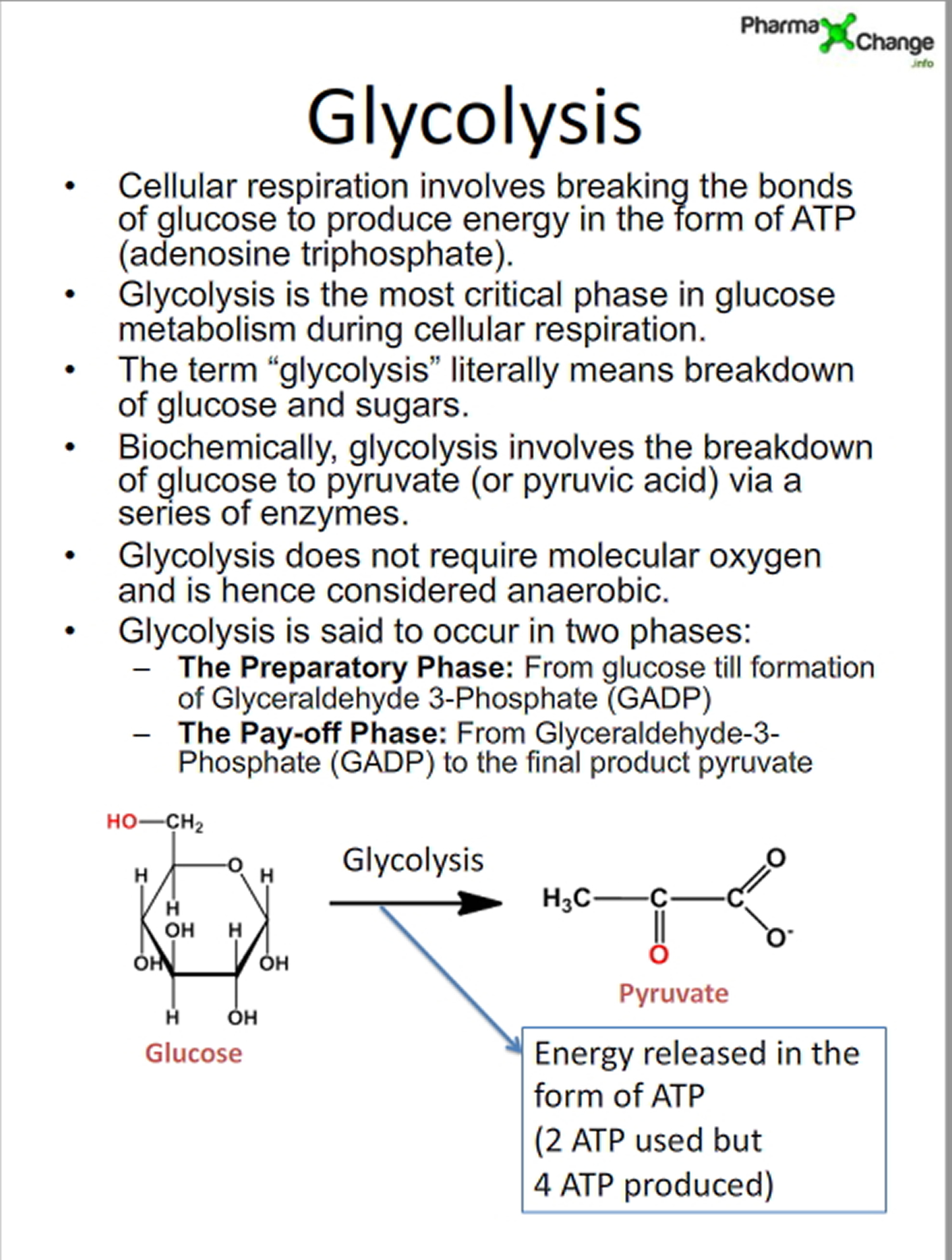 what-and-how-your-body-metabolises-sugar-glucose-and-fructose