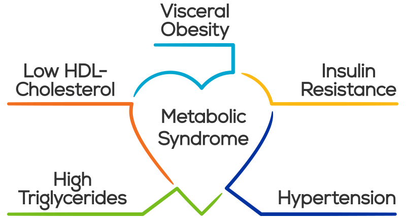 Metabolic Syndrome Criteria Causes Risk Factors Symptoms