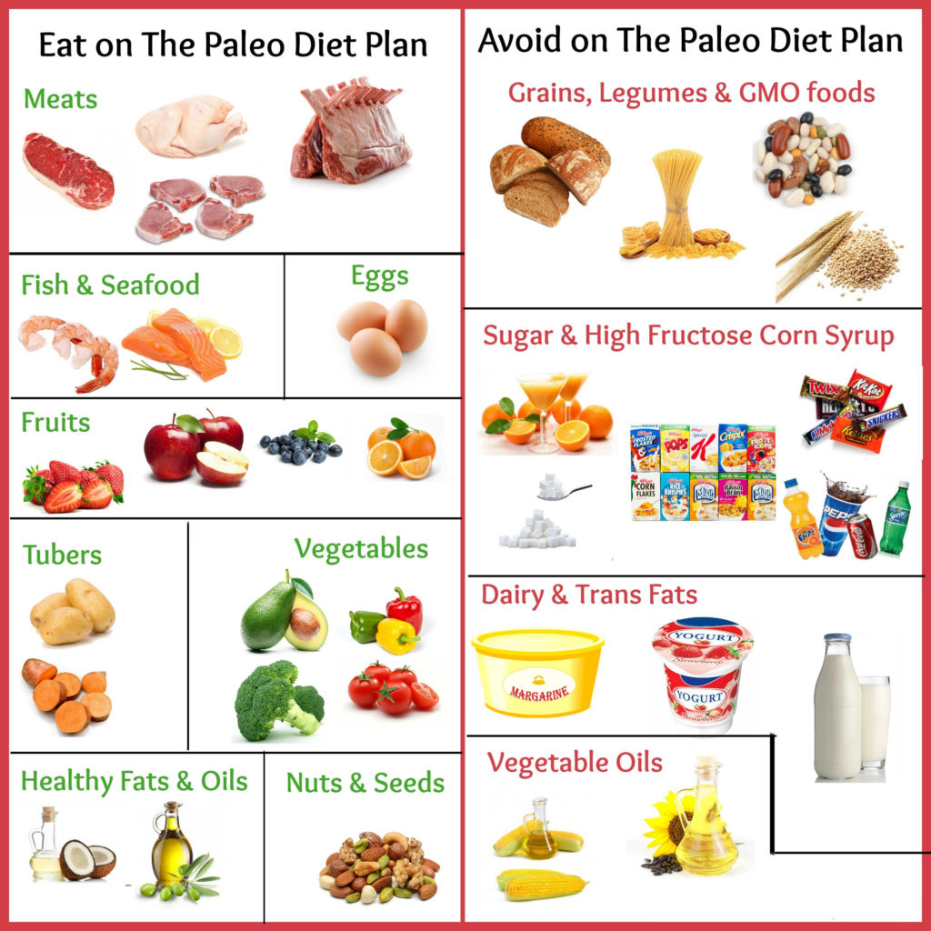 What Is Paleo Diet What Foods To Eat And Avoid On Paleo Diet   Paleo Diet Plan 1 1024x1024 