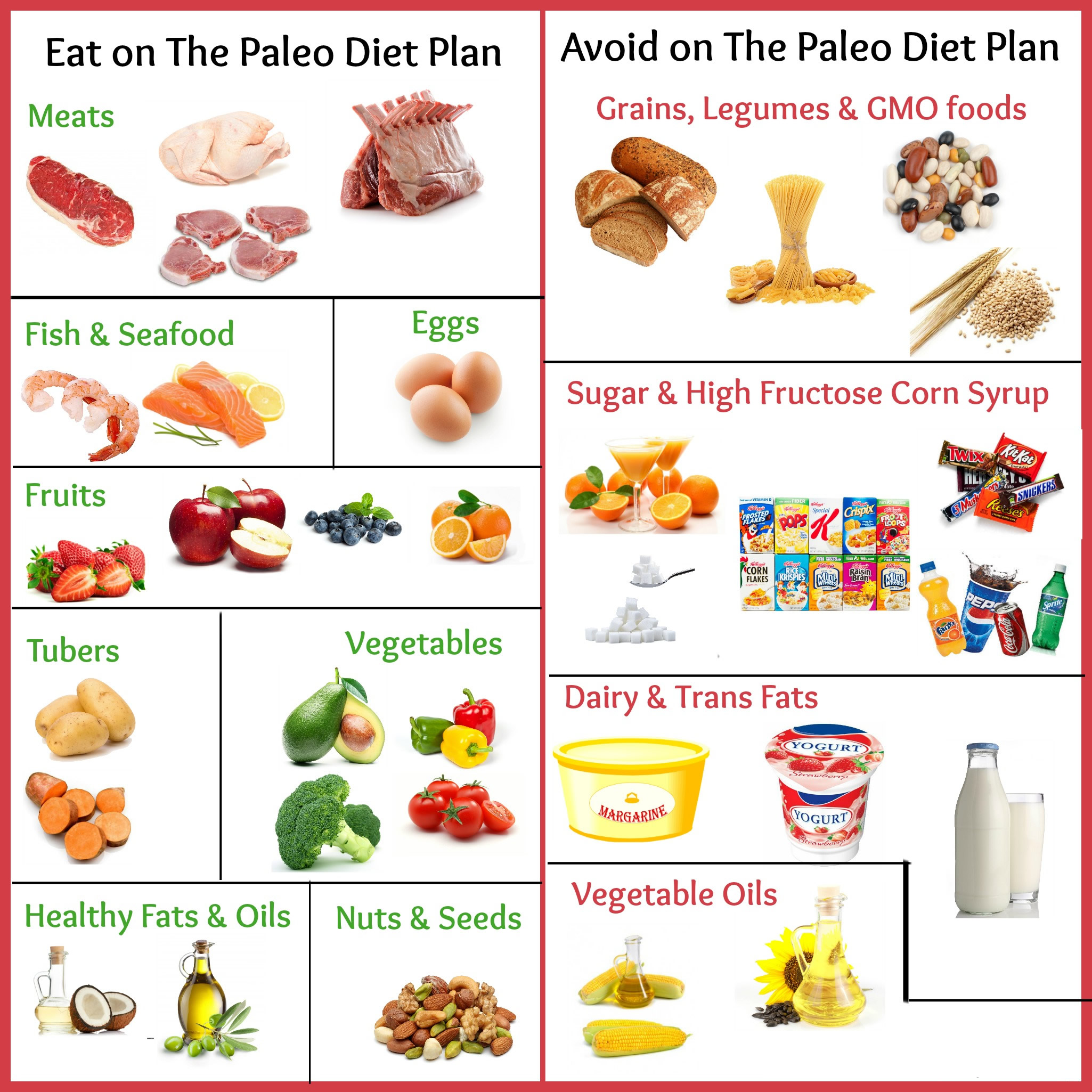 Paleo diet plan