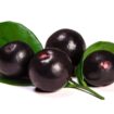 Acai Berries