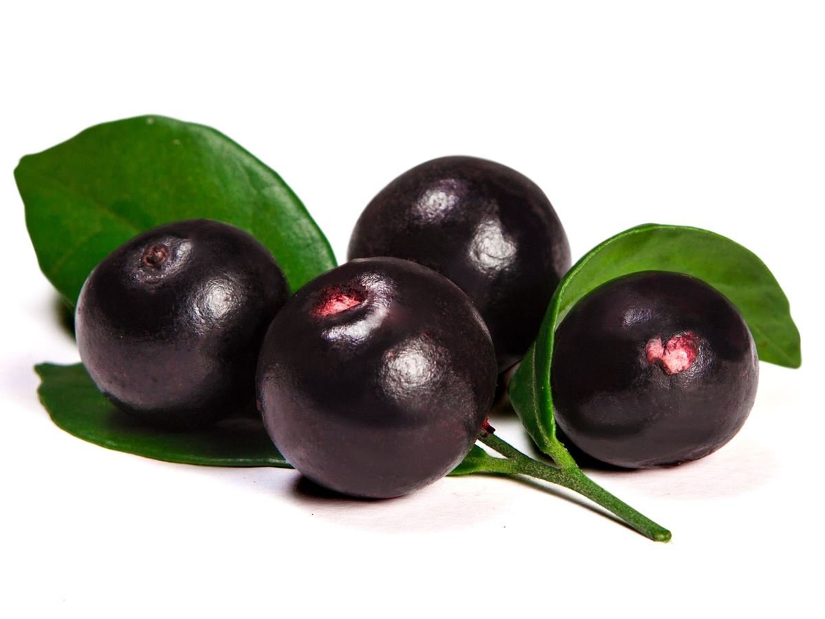 Is Acai Berry The Super Food That Its Been Marketed?