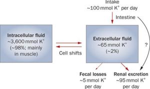 Potassium - Benefits In Hypertension By Lowering BP, Stroke, Heart Attack