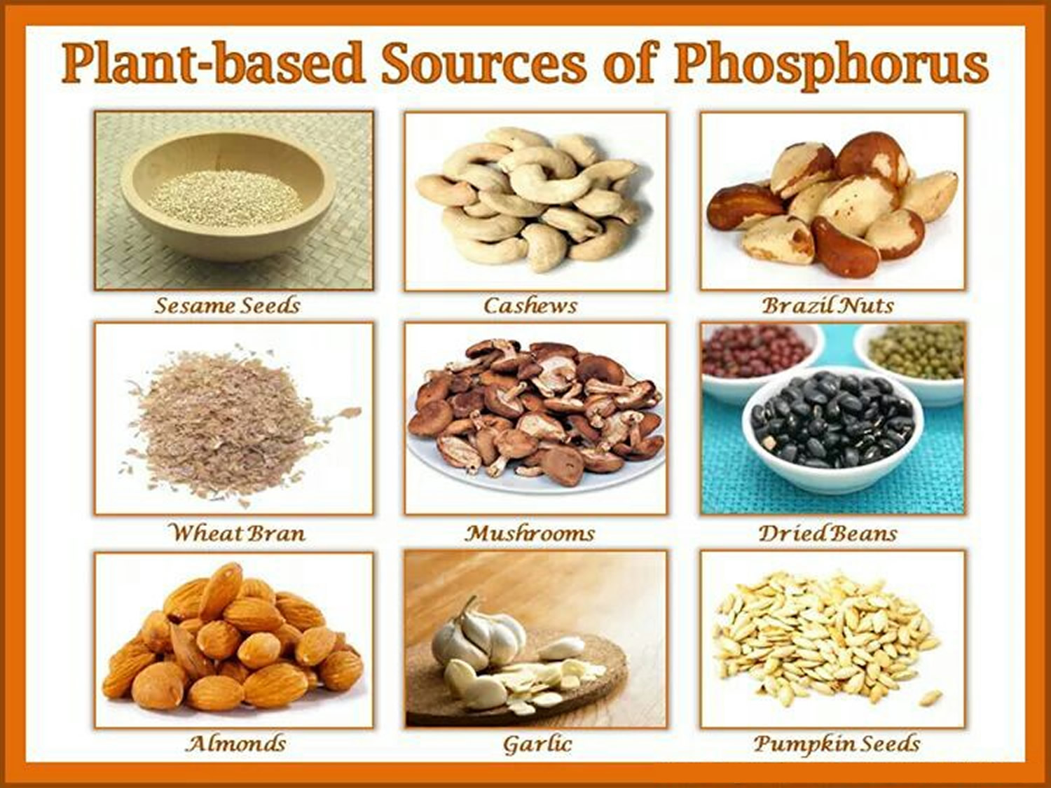 What is Phosphorus - Foods High In Phosphorus, Benefits & Functions