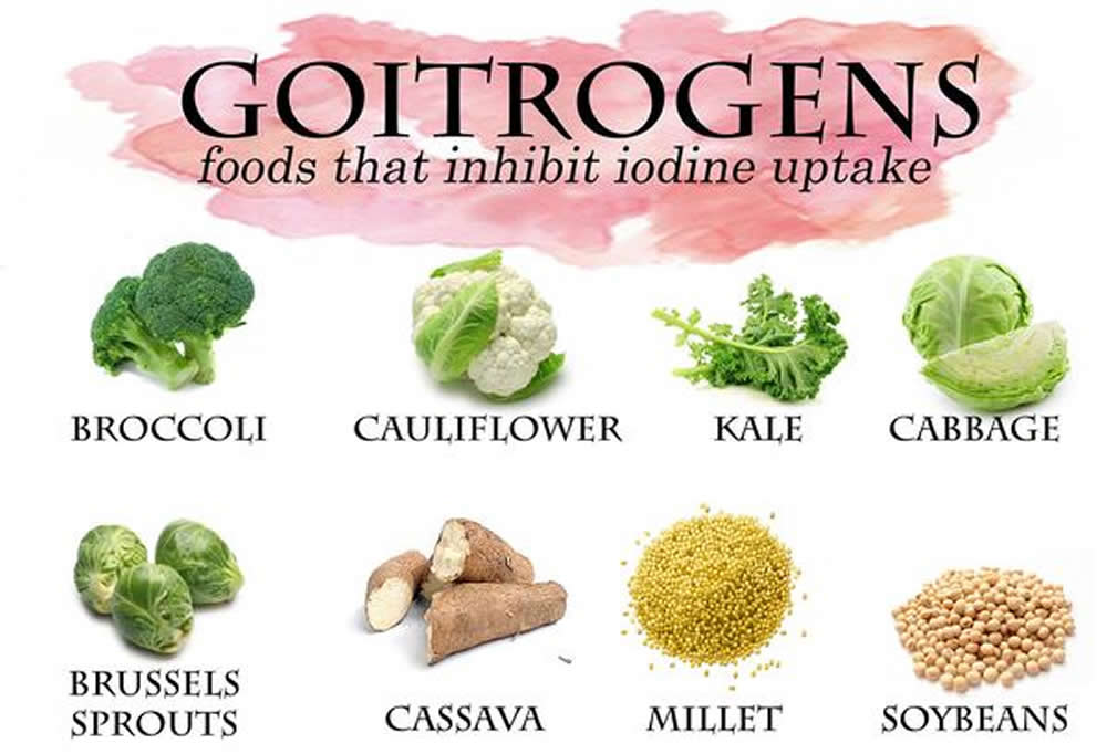 foods with high iodine content