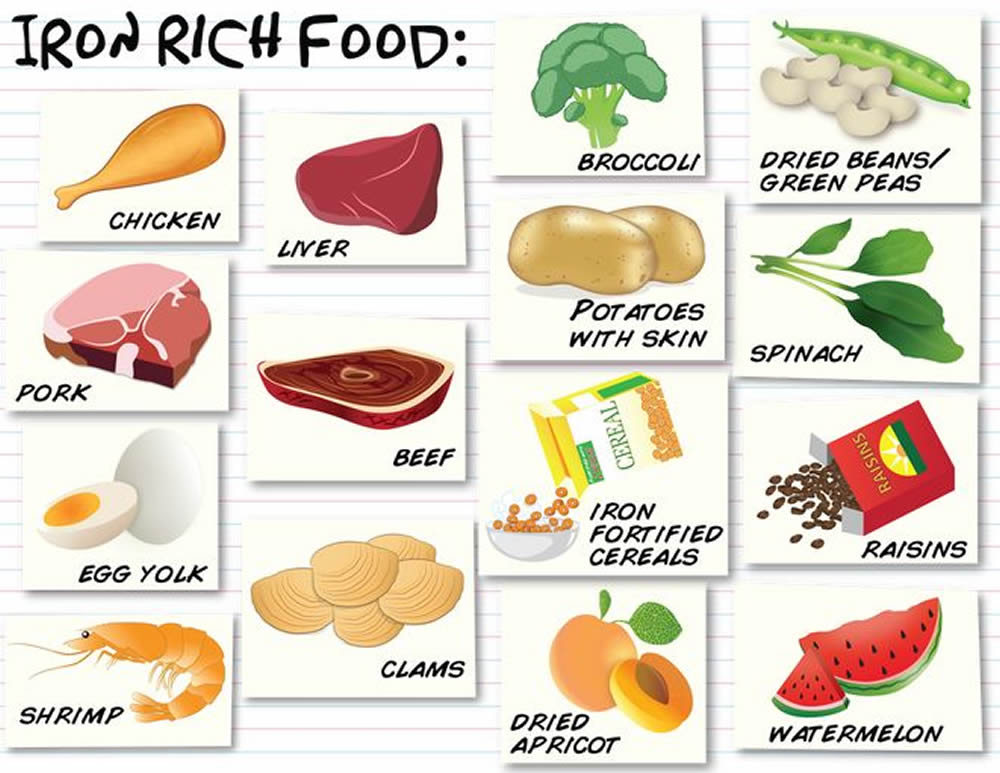 iron food chart