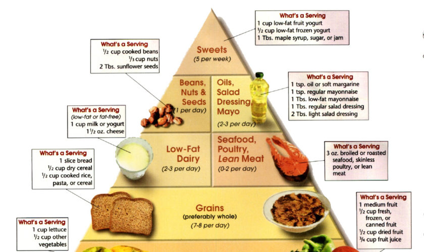 low carb diet plan