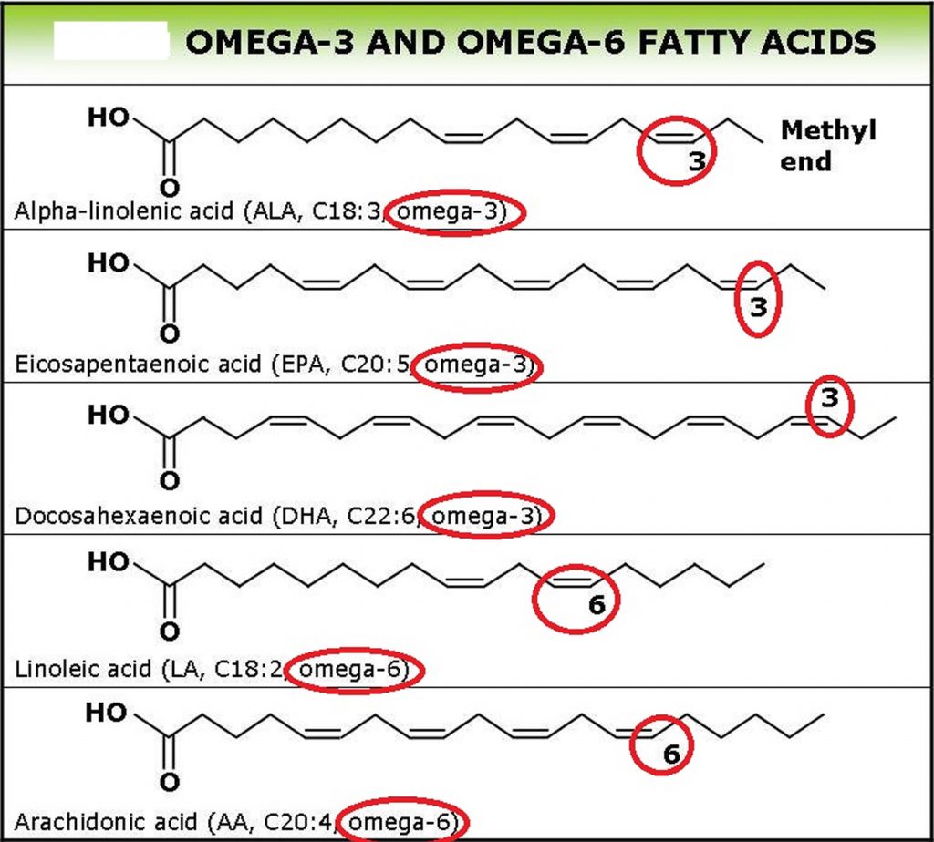 Unsaturated fat, unsaturated fatty acids, food sources