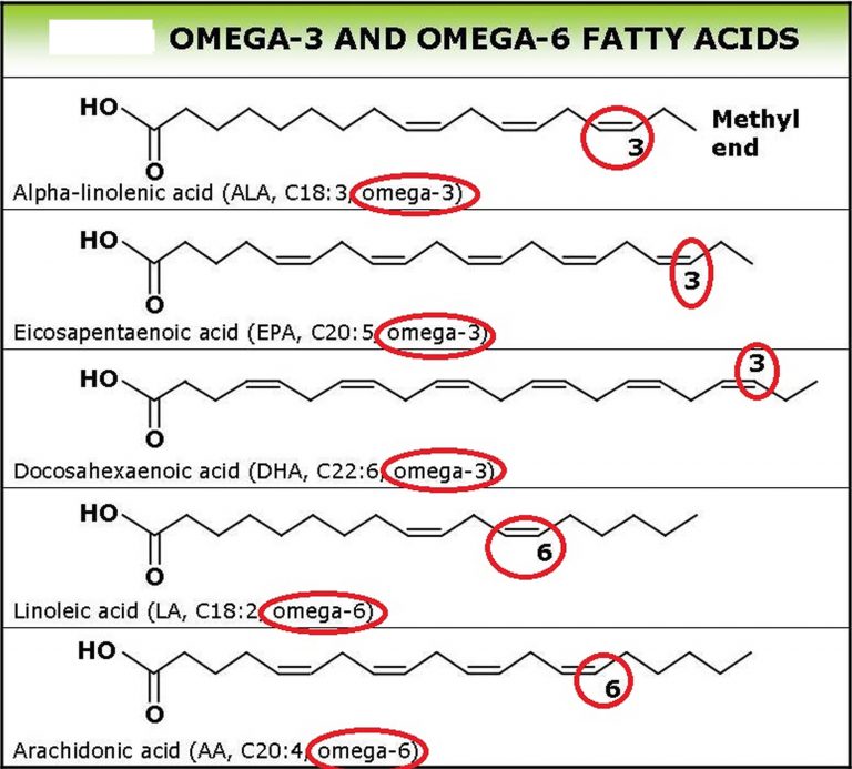 Unsaturated fat, unsaturated fatty acids, food sources