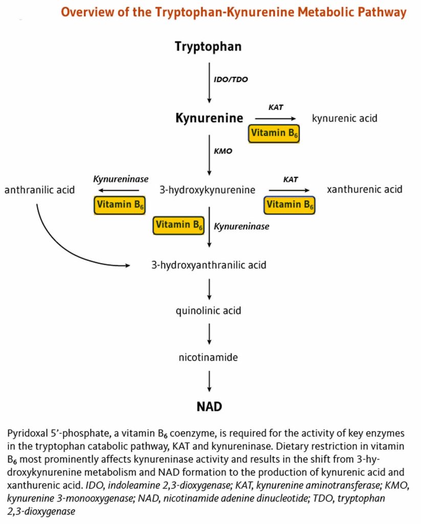 Vitamin B6 deficiency, pyridoxine deficiency, causes, symptoms