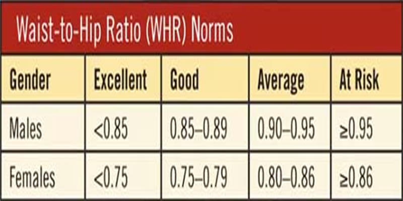 Waist To Hip Ratio Table