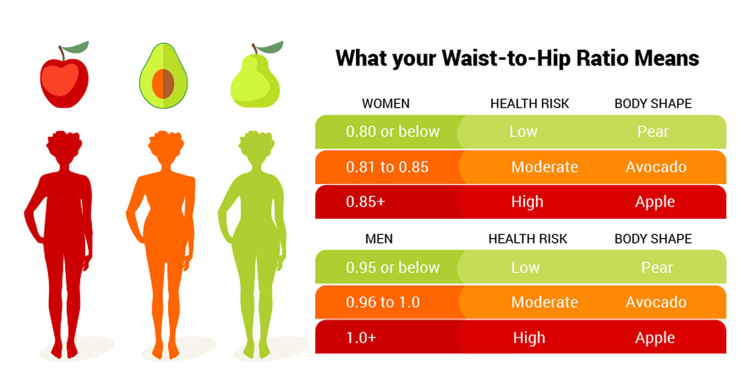 Waist Hip Ratio - how to accurately measure your waist to hip ratio