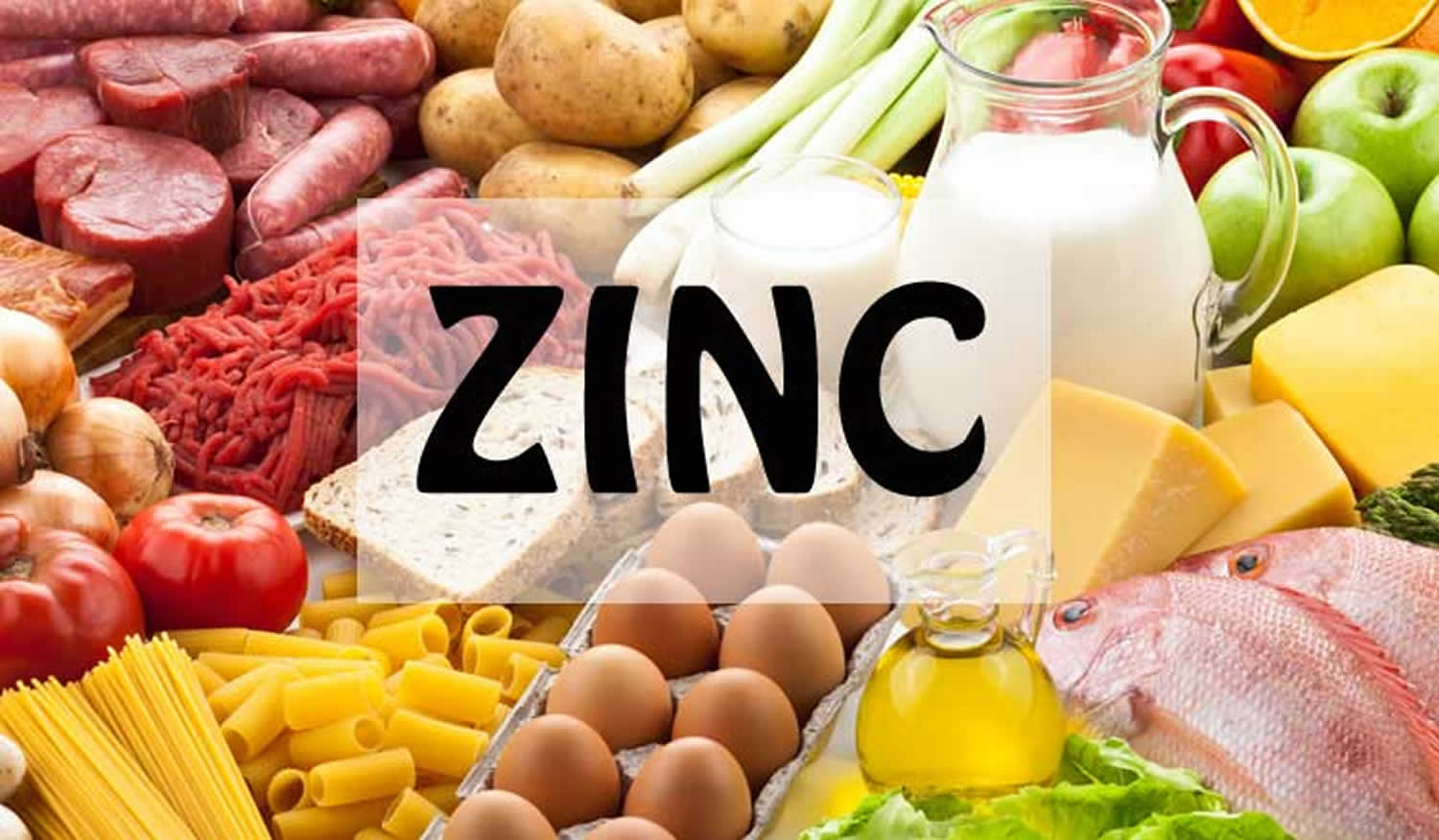 zinc foods