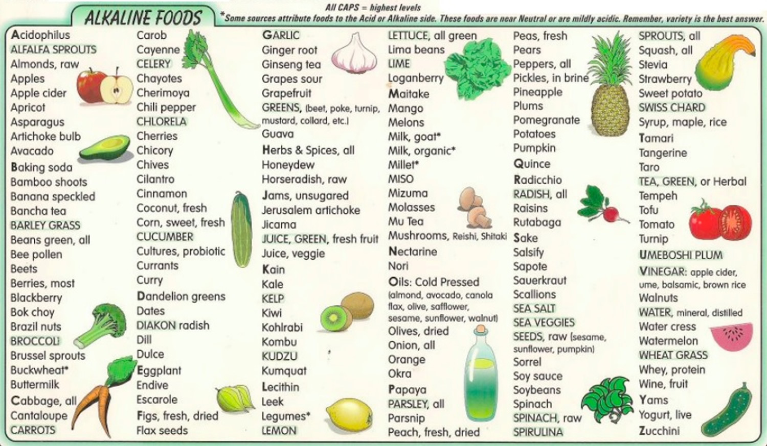 Alkaline acid food chart 