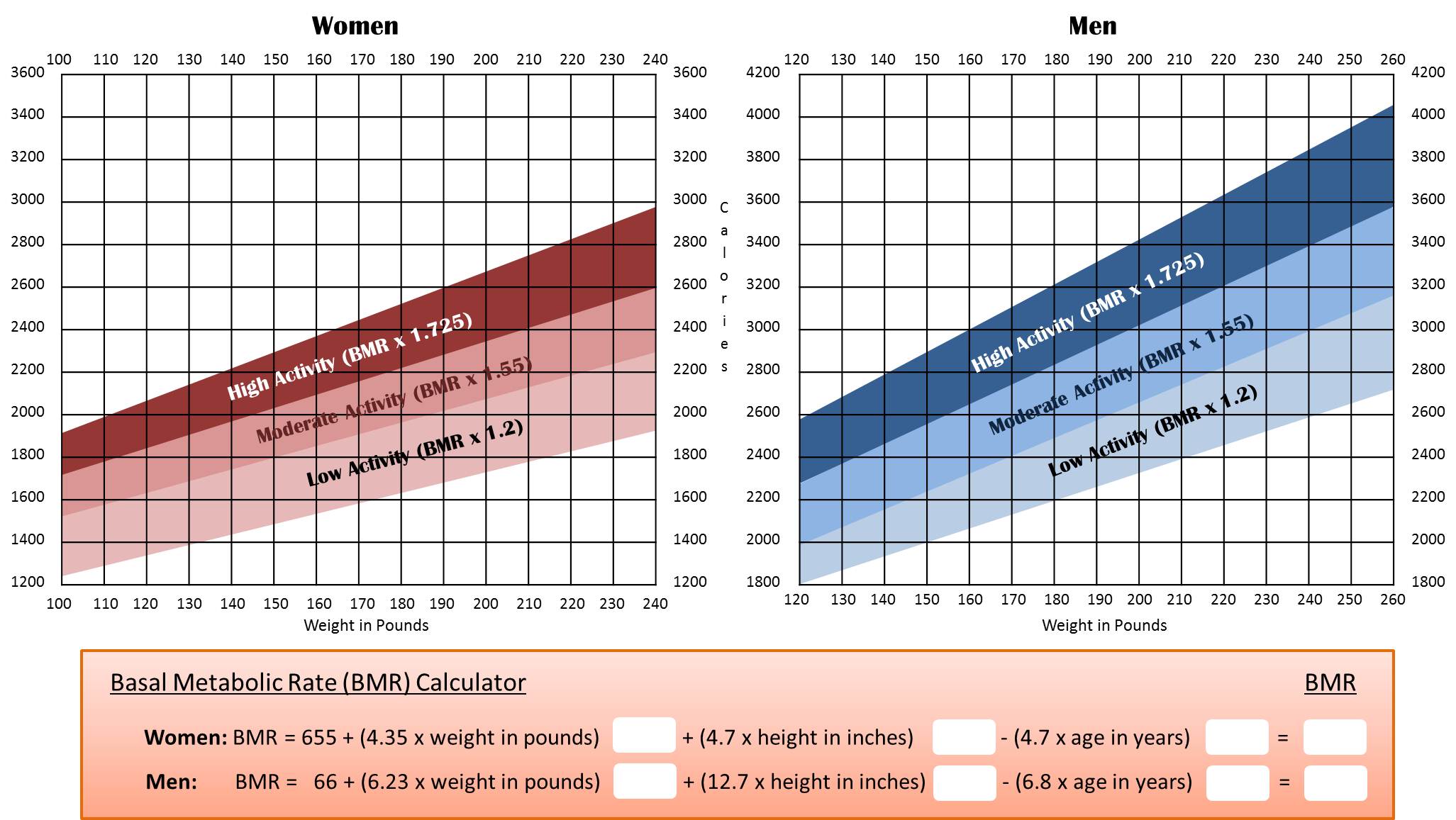 Basal Metabolic Temperature Chart