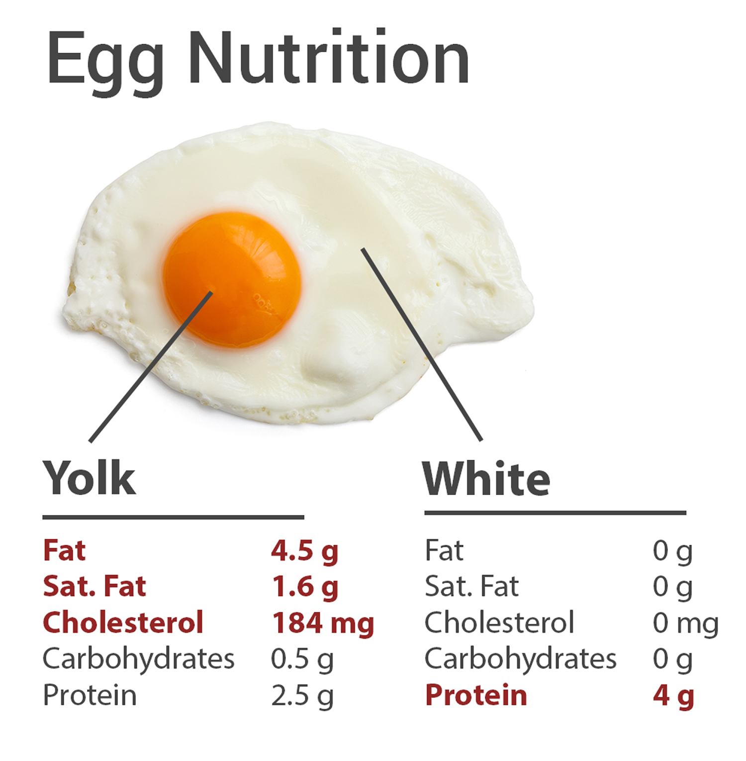 Eggs And Cholesterol 2025 Hudson Riyad egg-mayo-sandwich-thezonghan