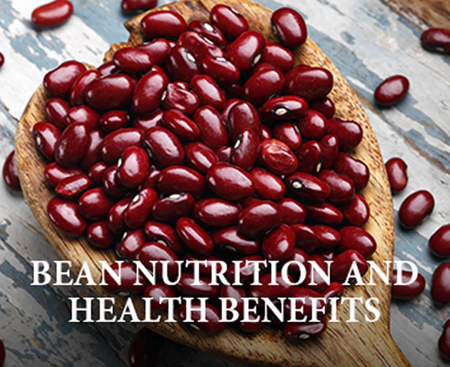 bean nutrition and health benefits