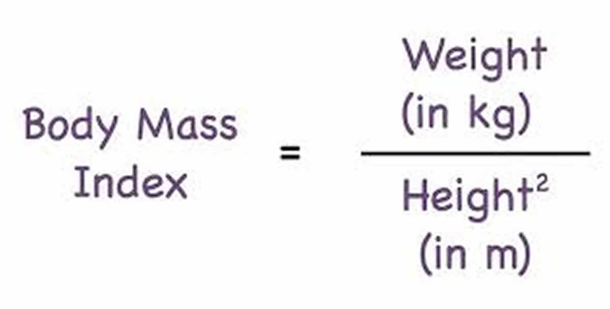 body mass index calculator equation