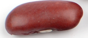 dark-red-kidney-bean