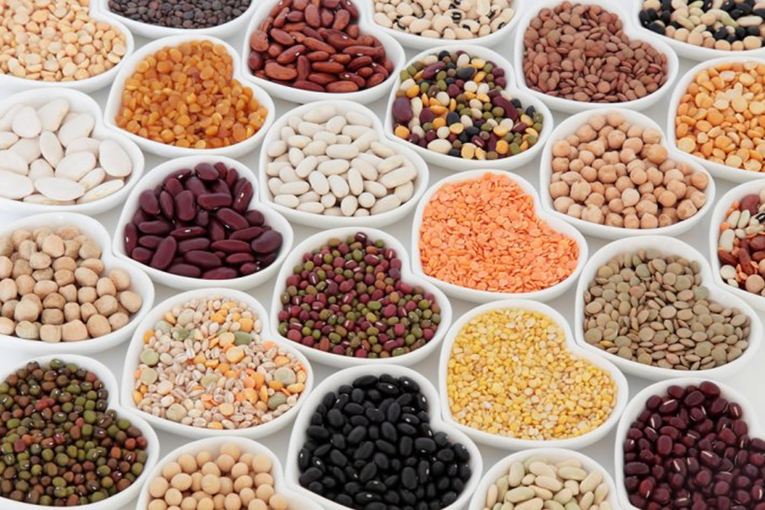 What Is Dry Legumes at robertjlee blog