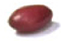 small-red-bean