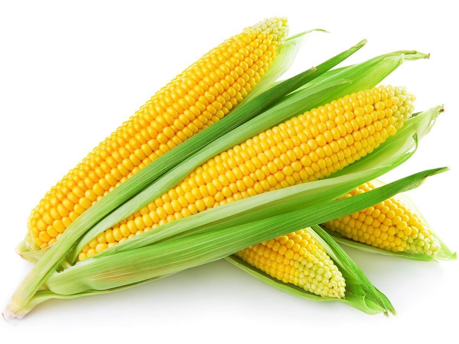 corn