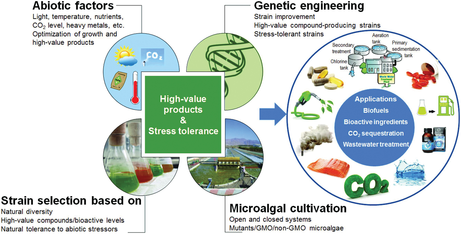 genetic-engineering-the-definitive-guide-biology-dictionary