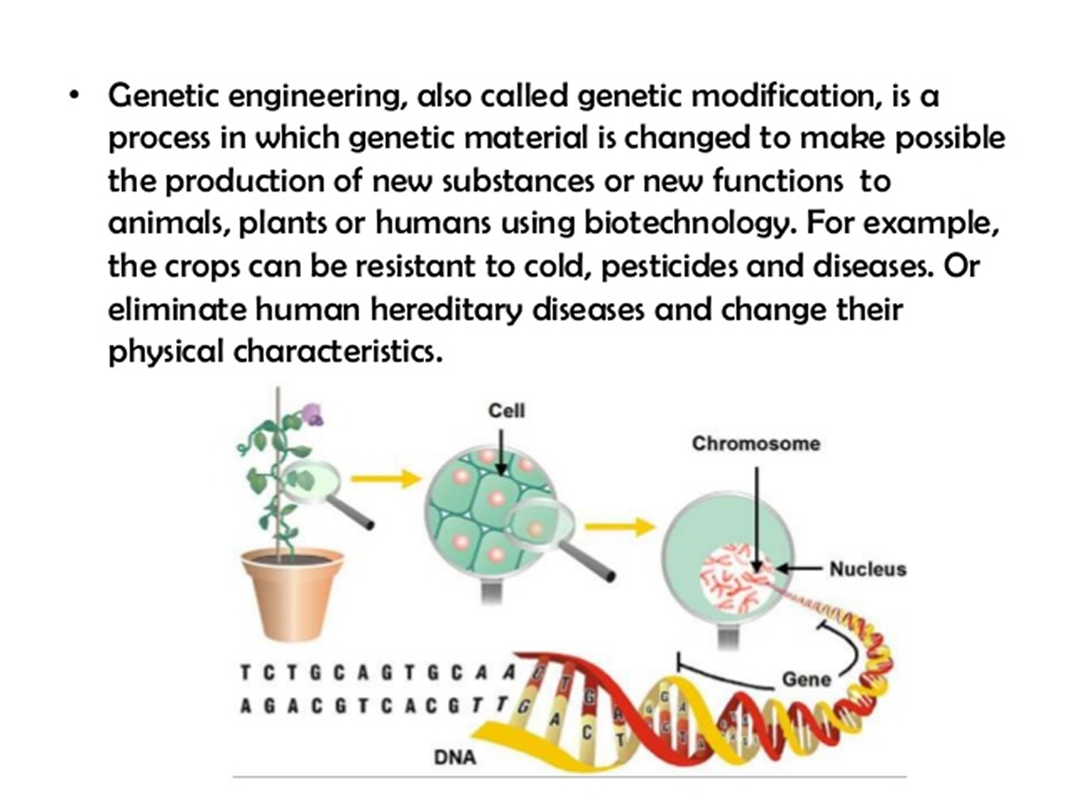 genetic modification presentation