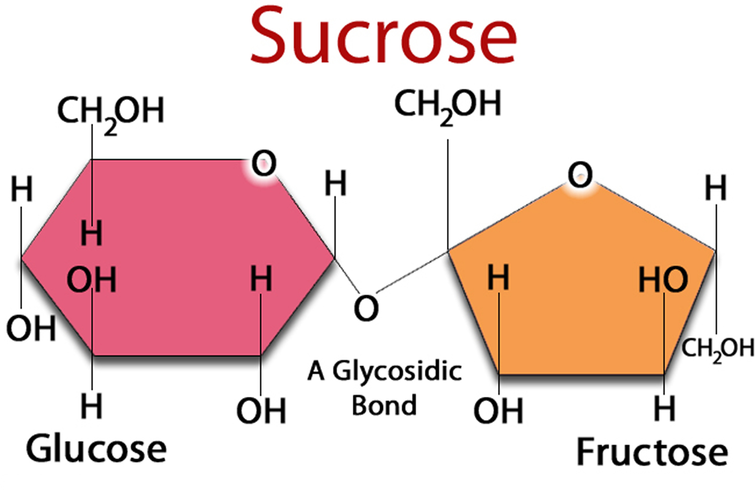 glucose and lactose