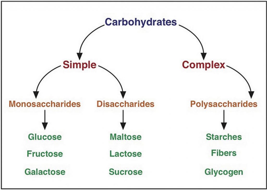 What is Carbohydrates? Foods, Healthy Carbs for Weight Loss