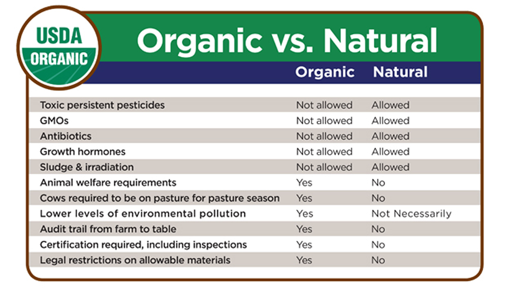 Types Of Organic Food & The Many Benefits Of Buying Organic