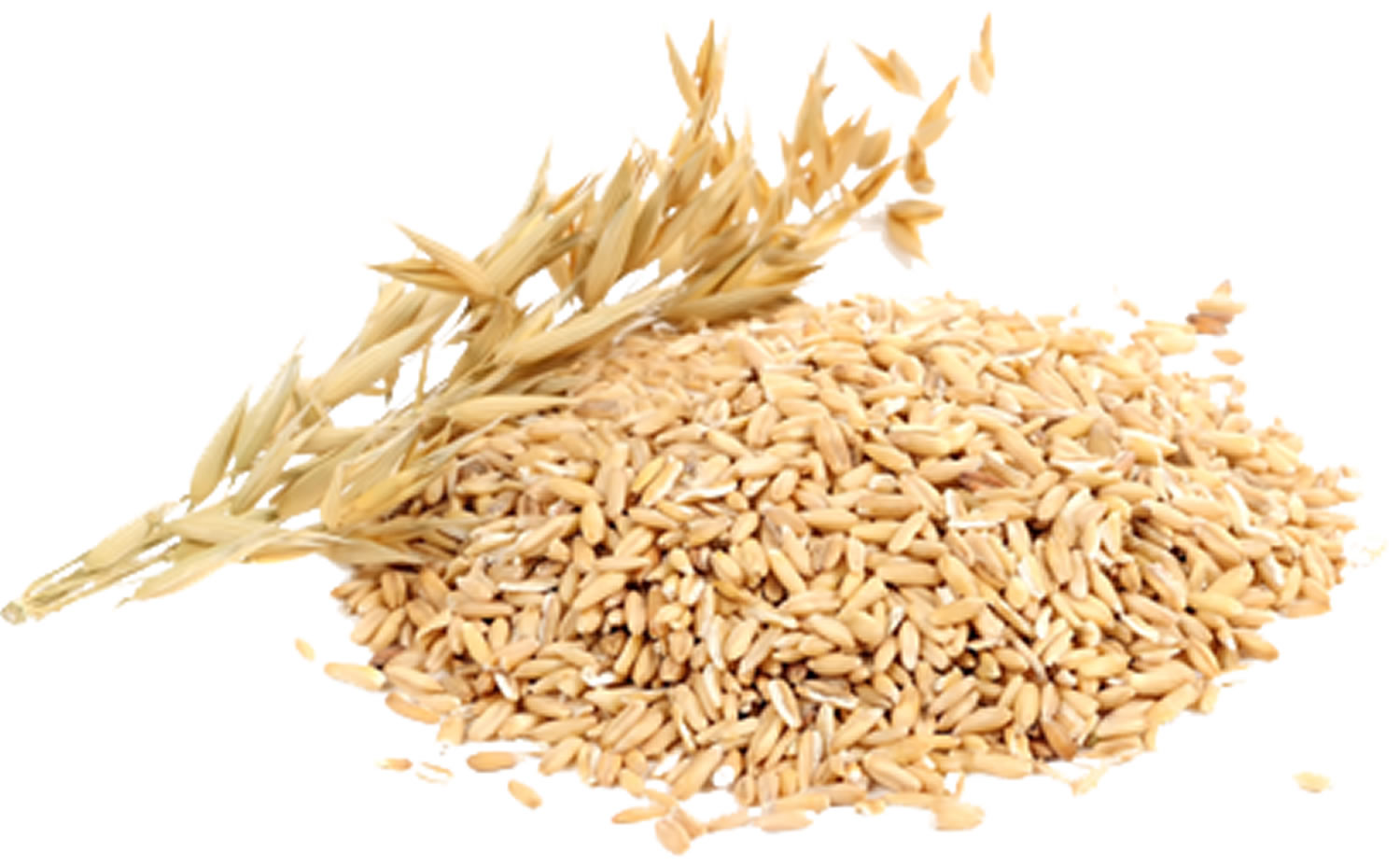 what-is-whole-grain-whole-grain-vs-whole-wheat