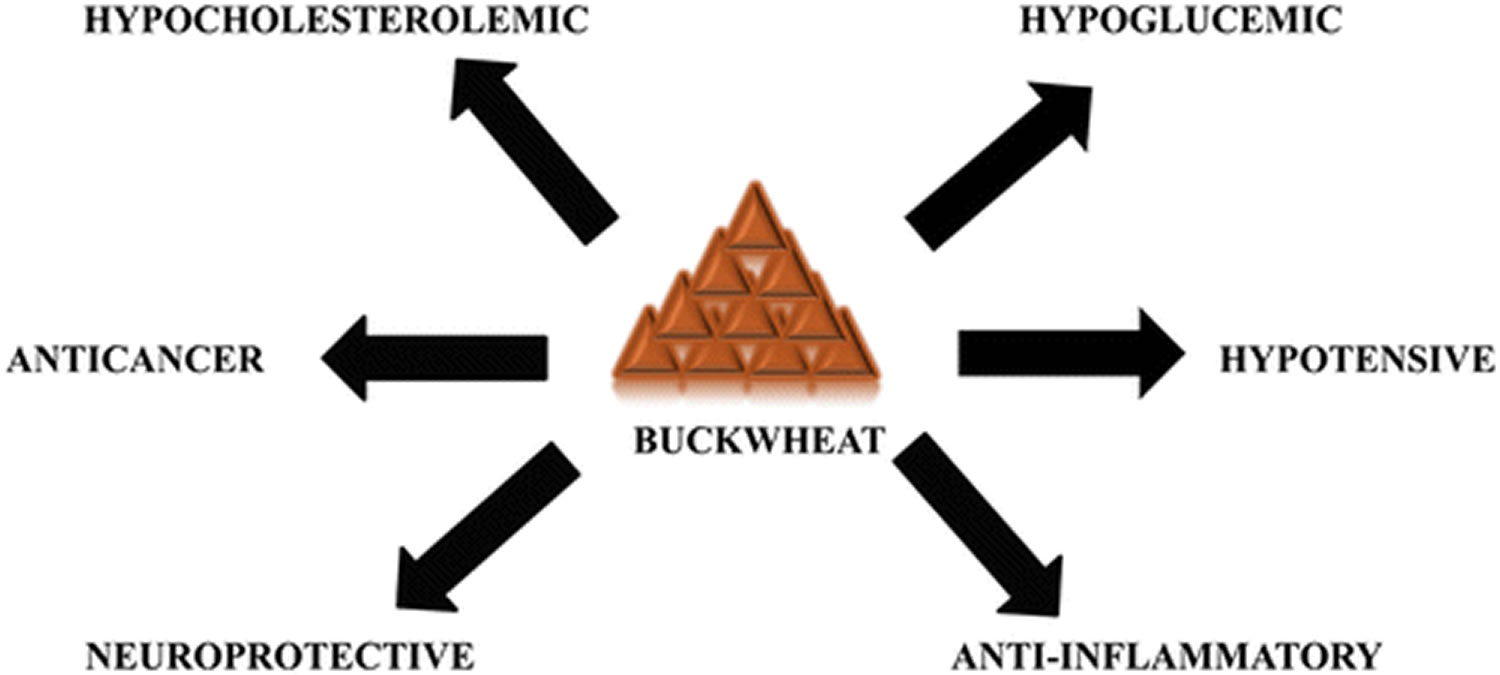 buckwheat benefits