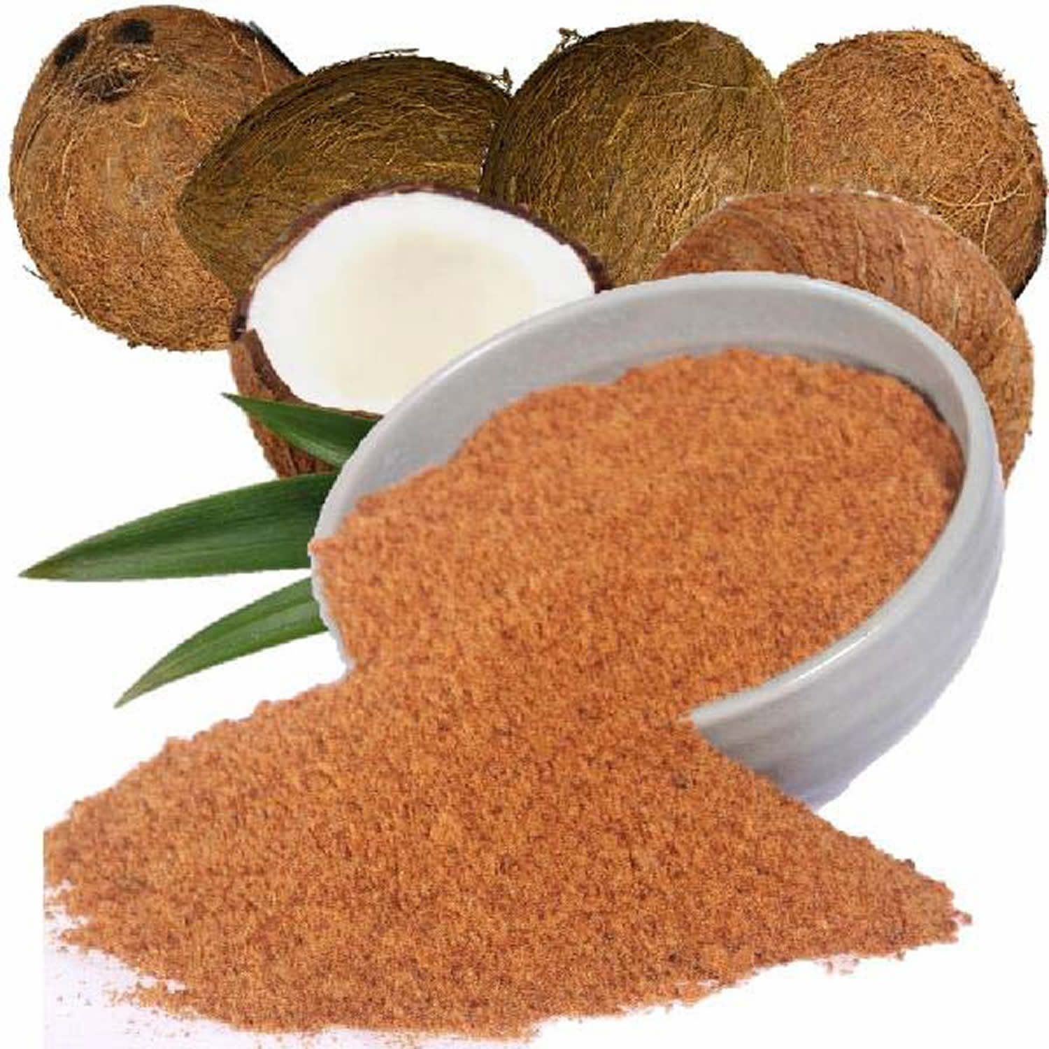 coconut palm sugar 