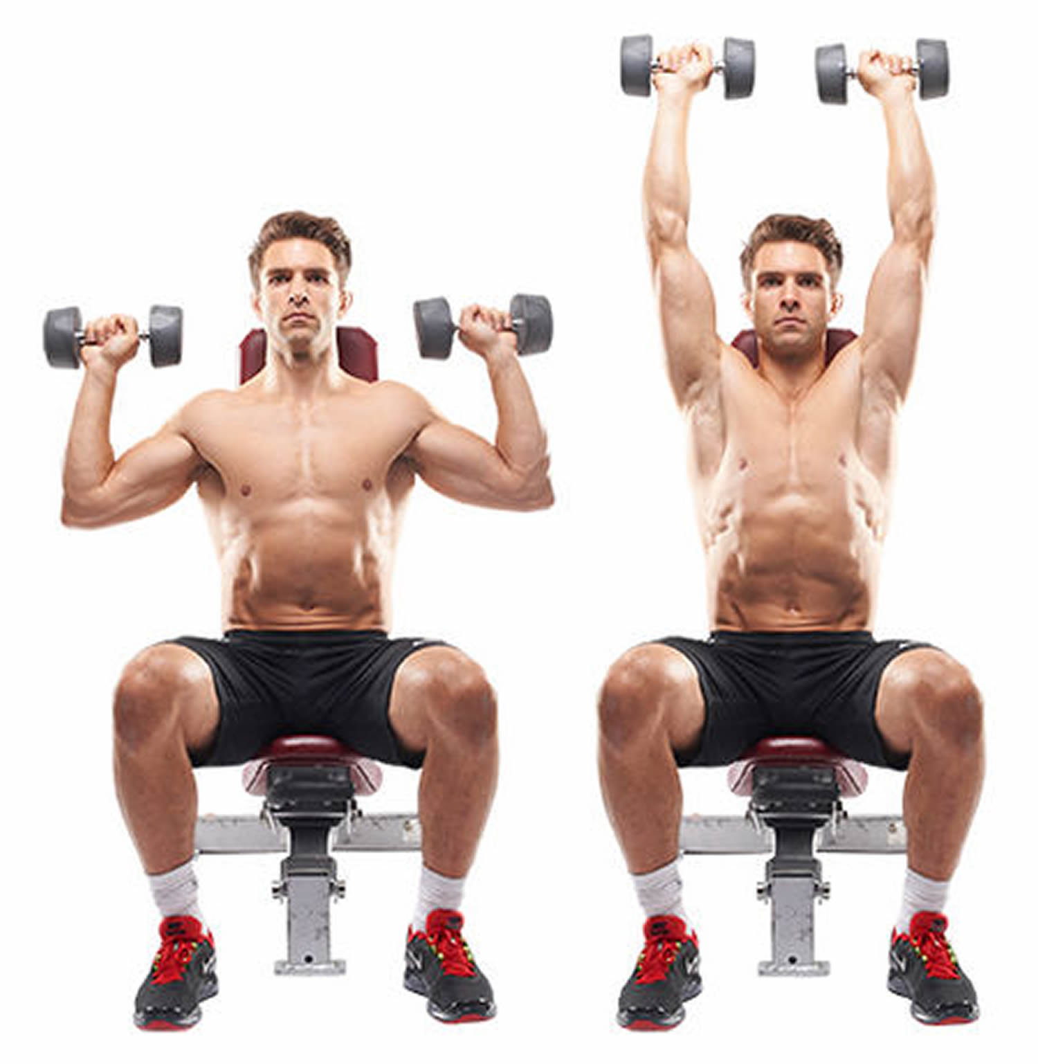 Dumbell Shoulder Press