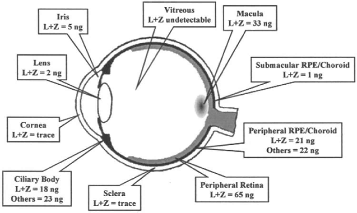 Lutein and Zeaxanthin in the Eye