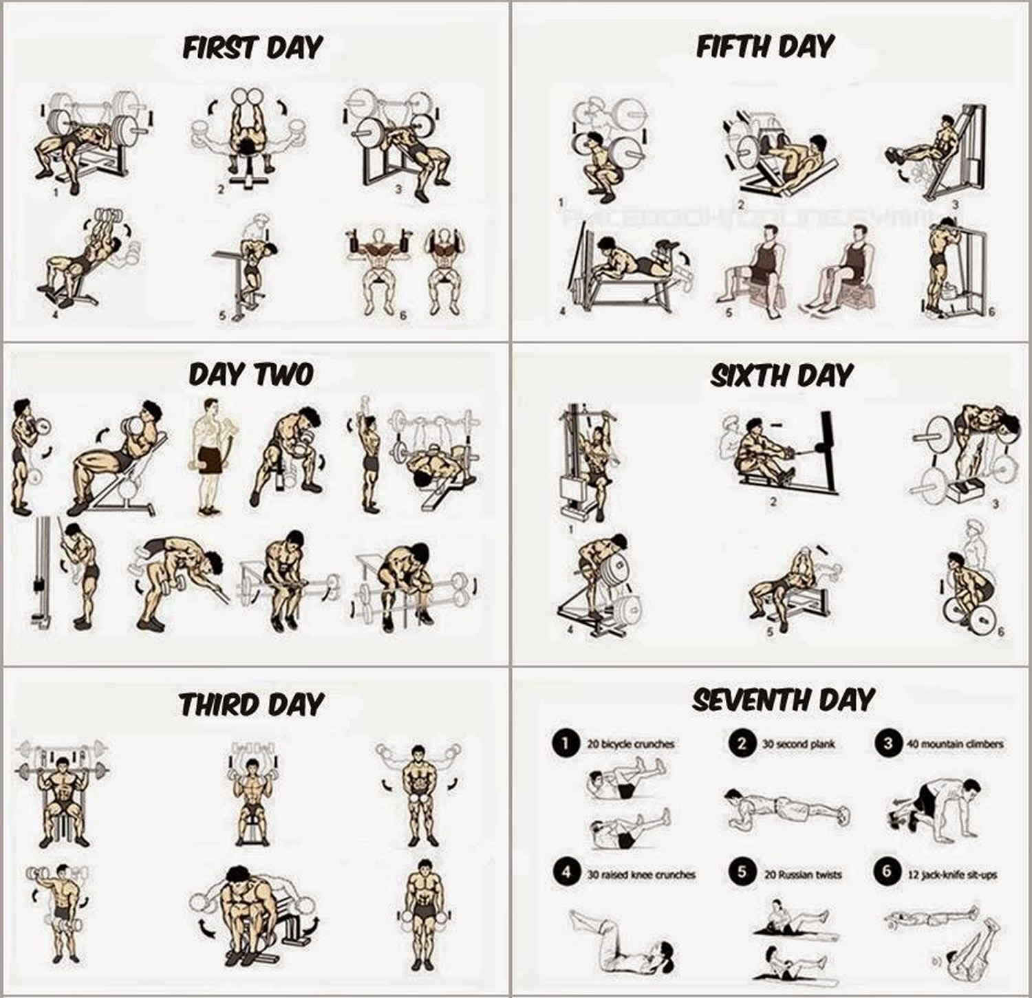 workout-schedule-for-building-muscle