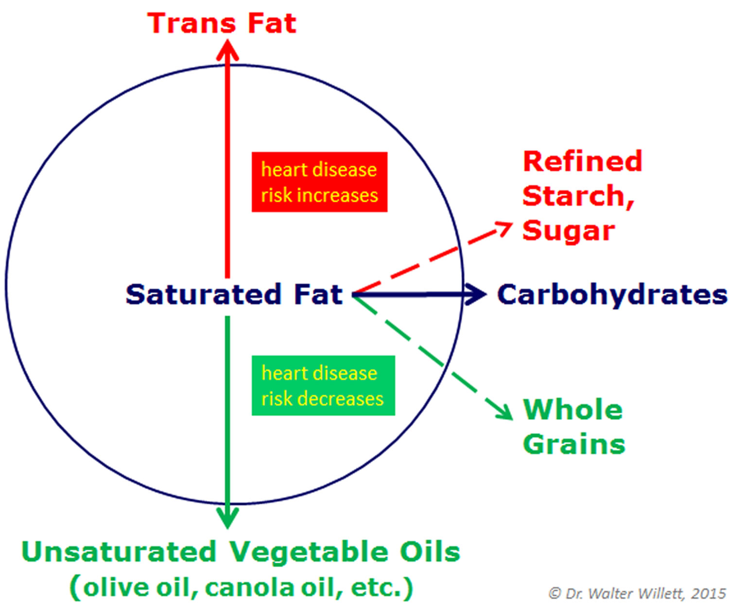 The Truth About Fats, Comprehensive Review on Dietary Good & Bad Fats