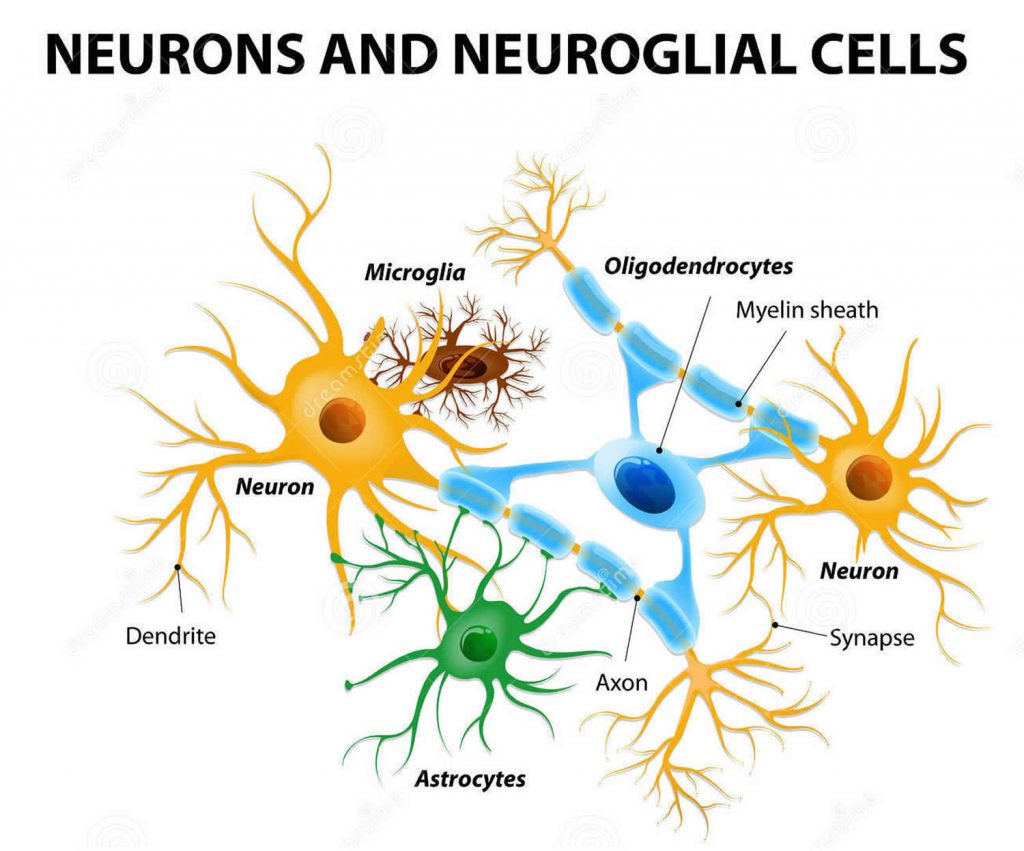 Brain Cancer - Symptoms, Signs, Causes, Stages & Treatment