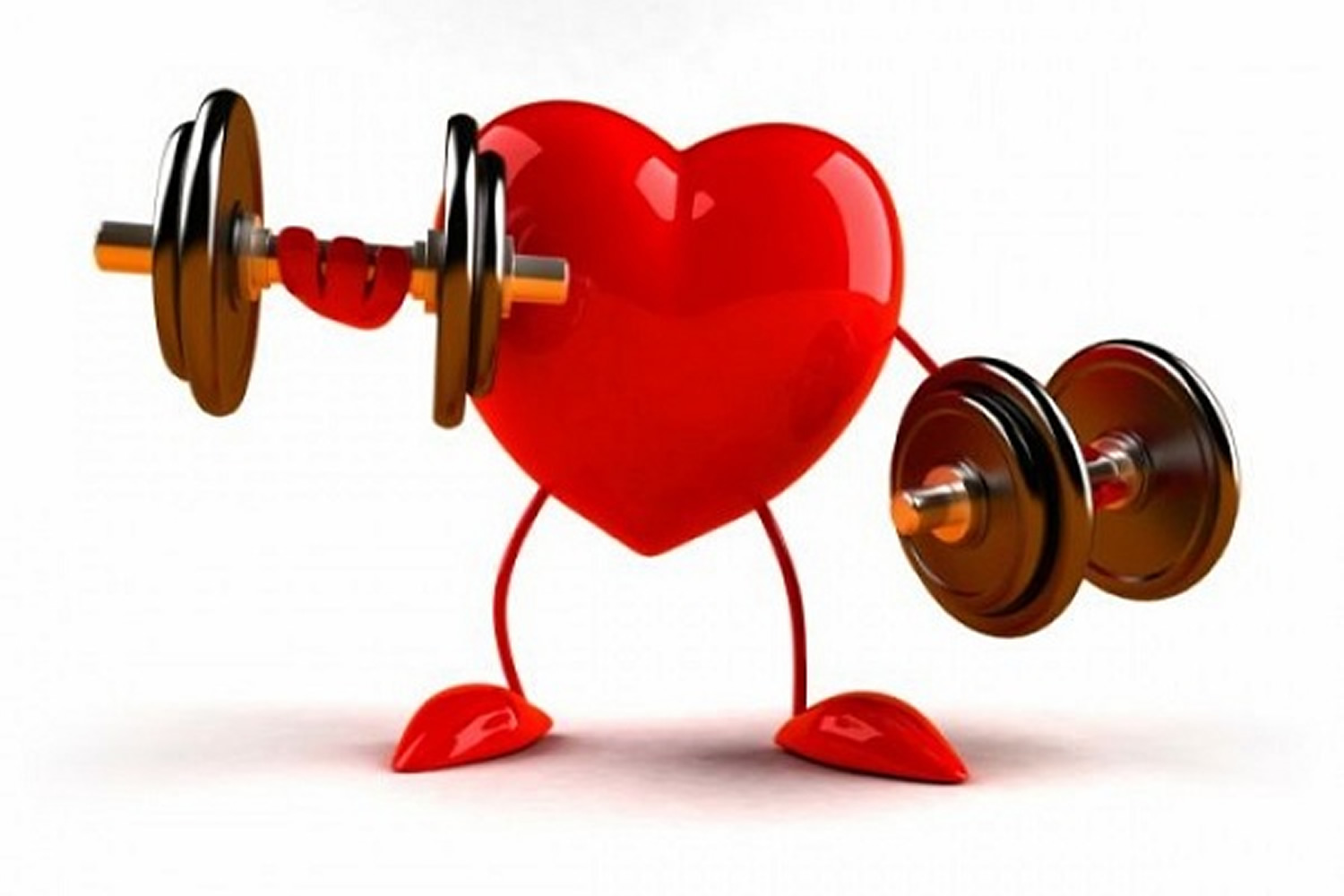 Human Heart and Health. How To Keep A Healthy Heart and Heart Rate