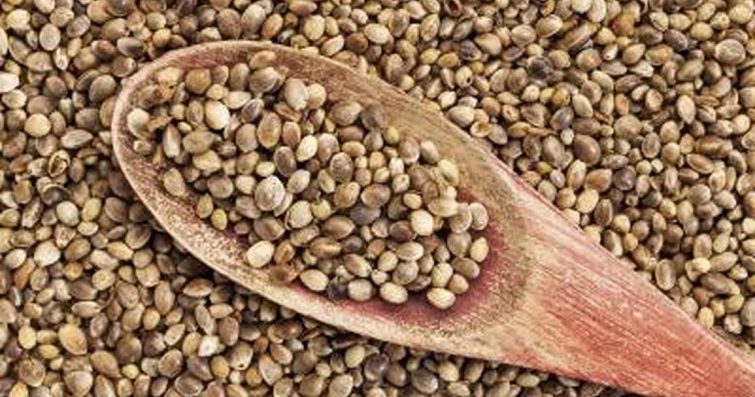 Benefits of Hemp Seeds, Source of Protein and Omega-3 Fatty Acids