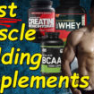 muscle building supplements