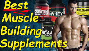 muscle building supplements