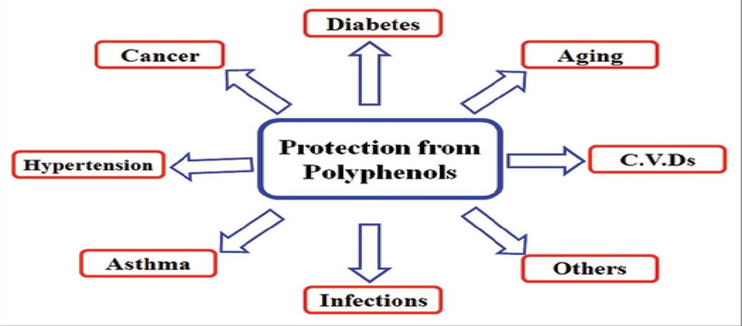 polyphenols health benefits