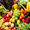 polyphenols rich foods
