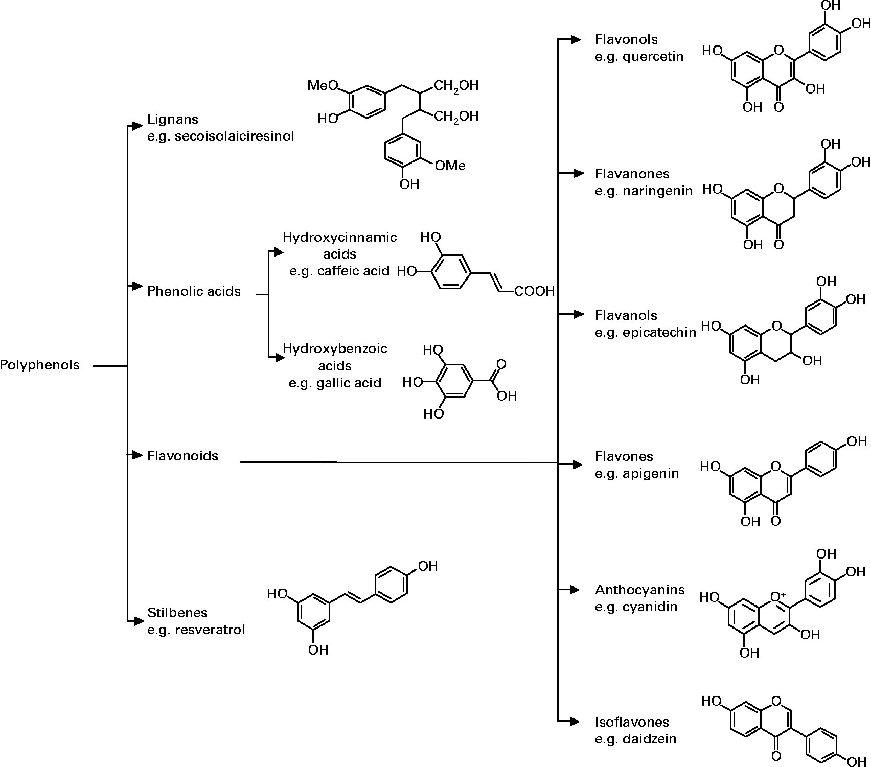 polyphenols