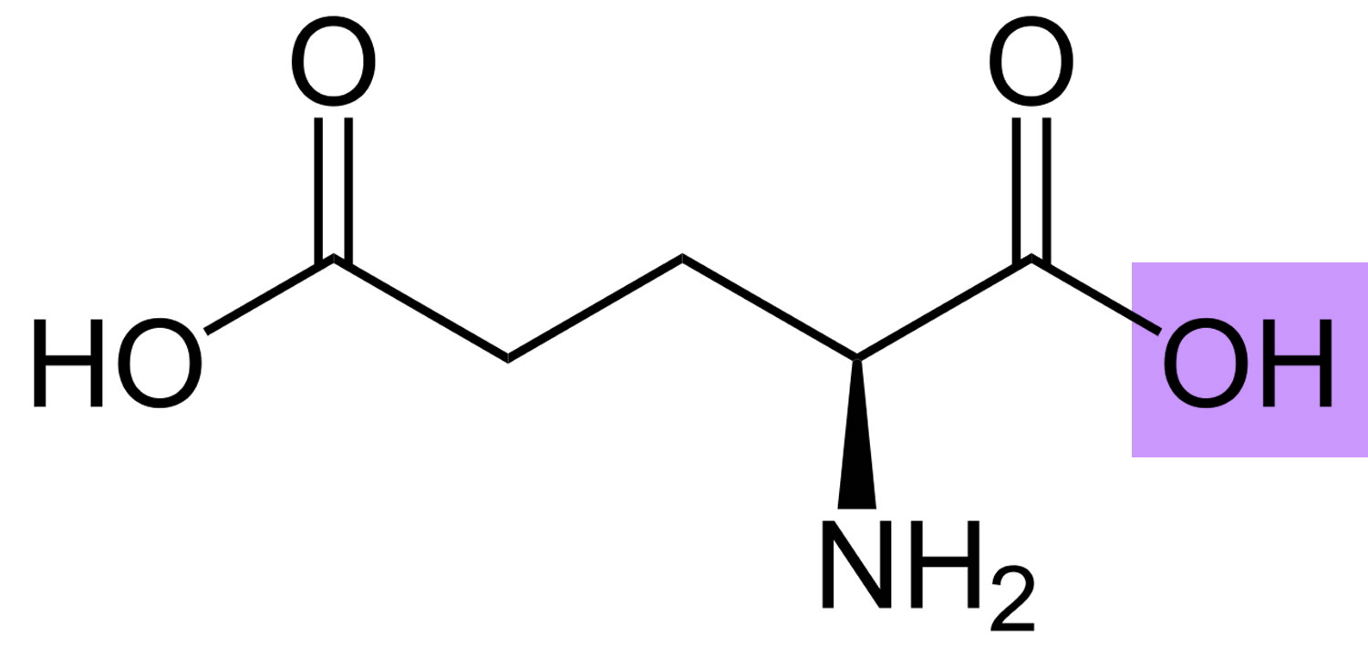 Glutamic_acid